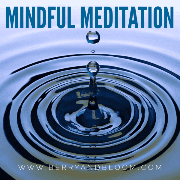 Mindful Meditation